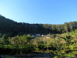 Sillerygaon 